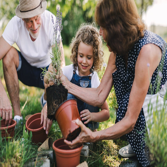 How to reconnect with family through nature